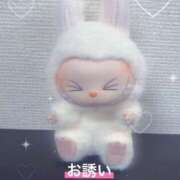 ヒメ日記 2026/01/04 00:25 投稿 あんず 奴隷コレクション