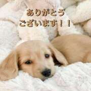 ヒメ日記 2026/01/13 03:40 投稿 あんず 奴隷コレクション