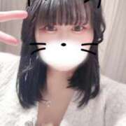 ヒメ日記 2026/02/02 20:09 投稿 あんず 奴隷コレクション