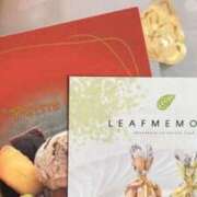 ヒメ日記 2026/02/12 11:52 投稿 あんず 奴隷コレクション