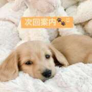 ヒメ日記 2026/03/07 19:00 投稿 あんず 奴隷コレクション