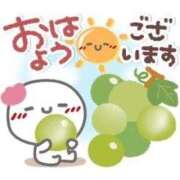 ヒメ日記 2026/08/14 11:48 投稿 あんず 奴隷コレクション