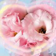 ヒメ日記 2025/05/29 12:54 投稿 りかこ 一宮稲沢小牧ちゃんこ