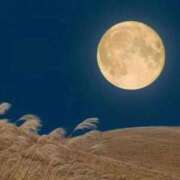 ヒメ日記 2025/11/18 11:26 投稿 りかこ 一宮稲沢小牧ちゃんこ