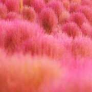 ヒメ日記 2025/11/28 14:38 投稿 りかこ 一宮稲沢小牧ちゃんこ