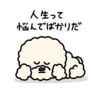 ヒメ日記 2025/05/07 09:55 投稿 あみ ○コキクリニック～○○クリニックシリーズ～