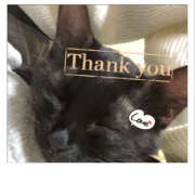 ヒメ日記 2025/01/02 19:57 投稿 えり VIVIDCREWマダムセカンドバージン 梅田店