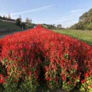 ヒメ日記 2025/01/08 22:59 投稿 えり VIVIDCREWマダムセカンドバージン 梅田店