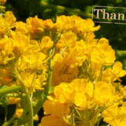 ヒメ日記 2025/02/08 10:56 投稿 えり VIVIDCREWマダムセカンドバージン 梅田店