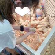 ヒメ日記 2025/07/24 18:02 投稿 すずか クリステル