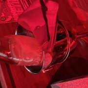 ヒメ日記 2025/10/19 17:03 投稿 すずか クリステル