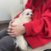 ヒメ日記 2025/11/11 19:23 投稿 すずか クリステル