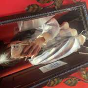 ヒメ日記 2025/12/20 12:20 投稿 すずか クリステル