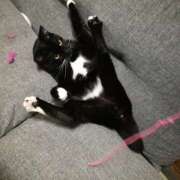 すずか 月曜日🍯 クリステル