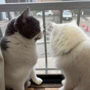 ヒメ日記 2026/03/16 18:06 投稿 すずか クリステル