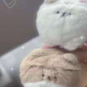 ヒメ日記 2025/09/06 12:41 投稿 しほ・SP やまとなでしこ桜組