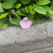 ヒメ日記 2026/04/15 09:29 投稿 うみ One More奥様　立川店