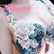 ヒメ日記 2025/02/13 01:11 投稿 こはく 今から乳首を犯しにいってもいいですか？大阪店