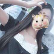 ヒメ日記 2025/05/20 20:51 投稿 こはく 今から乳首を犯しにいってもいいですか？大阪店