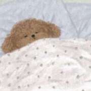 ヒメ日記 2025/02/28 18:16 投稿 カナメ ラブコレクション