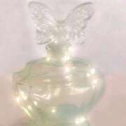 ヒメ日記 2025/03/24 10:31 投稿 カナメ ラブコレクション