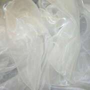 ヒメ日記 2025/03/25 00:01 投稿 カナメ ラブコレクション