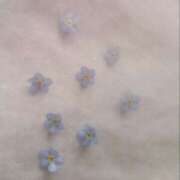 ヒメ日記 2025/04/24 02:01 投稿 カナメ ラブコレクション