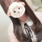 ヒメ日記 2025/04/25 03:31 投稿 カナメ ラブコレクション