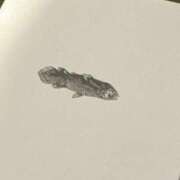 ヒメ日記 2025/05/21 01:31 投稿 カナメ ラブコレクション