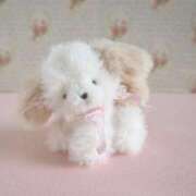 ヒメ日記 2025/05/22 01:01 投稿 カナメ ラブコレクション