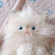 ヒメ日記 2025/07/04 00:01 投稿 カナメ ラブコレクション