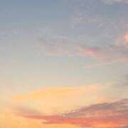 ヒメ日記 2025/07/19 07:46 投稿 カナメ ラブコレクション