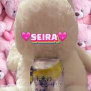 ヒメ日記 2025/06/08 21:45 投稿 せいら Fairy～フェアリー～(神栖)