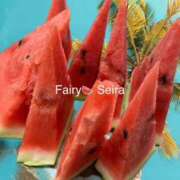 ヒメ日記 2025/09/01 06:43 投稿 せいら Fairy～フェアリー～(神栖)