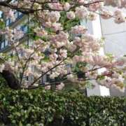 ヒメ日記 2025/03/20 13:57 投稿 ちはや SPIN(スピン)