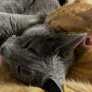 ヒメ日記 2026/02/22 15:27 投稿 まい 即アポマダム～名古屋店～