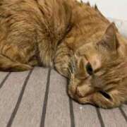 ヒメ日記 2025/04/30 17:21 投稿 まい 即アポ奥さん〜名古屋店〜