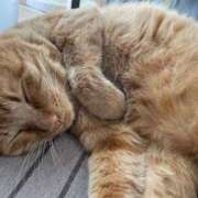 ヒメ日記 2025/05/12 01:21 投稿 まい 即アポ奥さん〜名古屋店〜