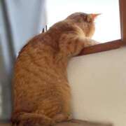 ヒメ日記 2025/05/22 21:32 投稿 まい 即アポ奥さん〜名古屋店〜