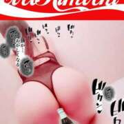 ヒメ日記 2025/08/26 07:46 投稿 まや ZERO-i