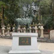 ヒメ日記 2024/12/29 11:39 投稿 アル キャンディ(鹿児島)