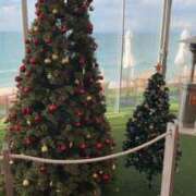 ヒメ日記 2025/12/06 11:15 投稿 アル キャンディ(鹿児島)