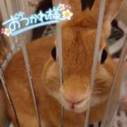 ヒメ日記 2025/01/06 21:18 投稿 こなん CECIL