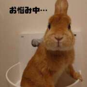 ヒメ日記 2025/02/28 23:34 投稿 こなん CECIL