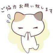 ヒメ日記 2025/03/01 00:37 投稿 こなん CECIL