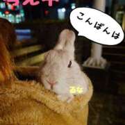 ヒメ日記 2025/03/24 18:54 投稿 こなん CECIL