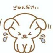 ヒメ日記 2025/03/28 07:10 投稿 こなん CECIL