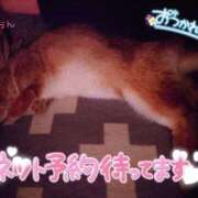 ヒメ日記 2025/04/16 00:01 投稿 こなん CECIL