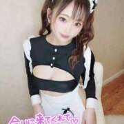 ヒメ日記 2025/05/24 18:02 投稿 こなん CECIL