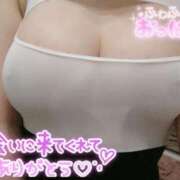 ヒメ日記 2025/06/12 18:47 投稿 こなん CECIL